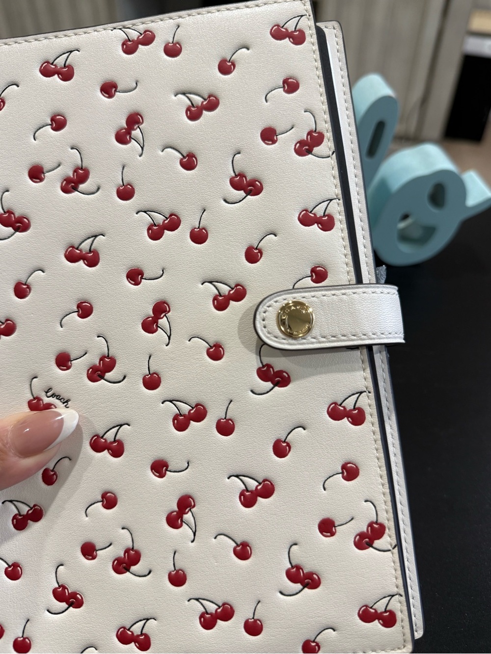 Coach Notebook - Picture 8 of 11